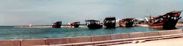 Dhows at anchor on the Corniche